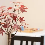 Apartman Sweet Duke